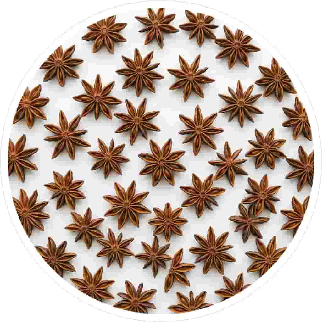 Star anise pods